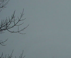 snowy days for snowy writing... snowy days for snowy writing...