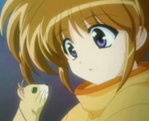 oh, lookit! a ferret! oh, lookit! a ferret!