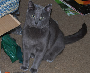 Shmooley, looking rather freaked out after getting lost for an entire day Shmooley, looking rather freaked out after getting lost for an entire day