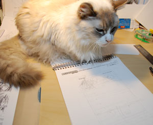 editor cat does not approve editor cat does not approve